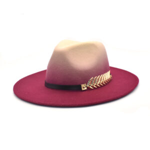 Chapeau fedora en dégradé