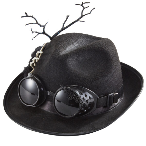 Chapeau noir avec des lunettes noires et une branche à l'arrière.