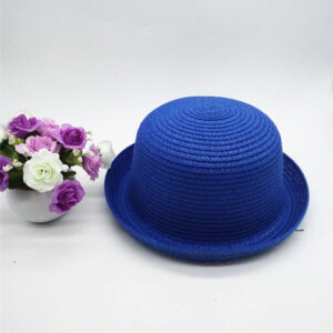 Chapeau melon en paille de couleur bleu posé à côté d'un pot de fleur